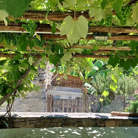 Attractive In With Garden
